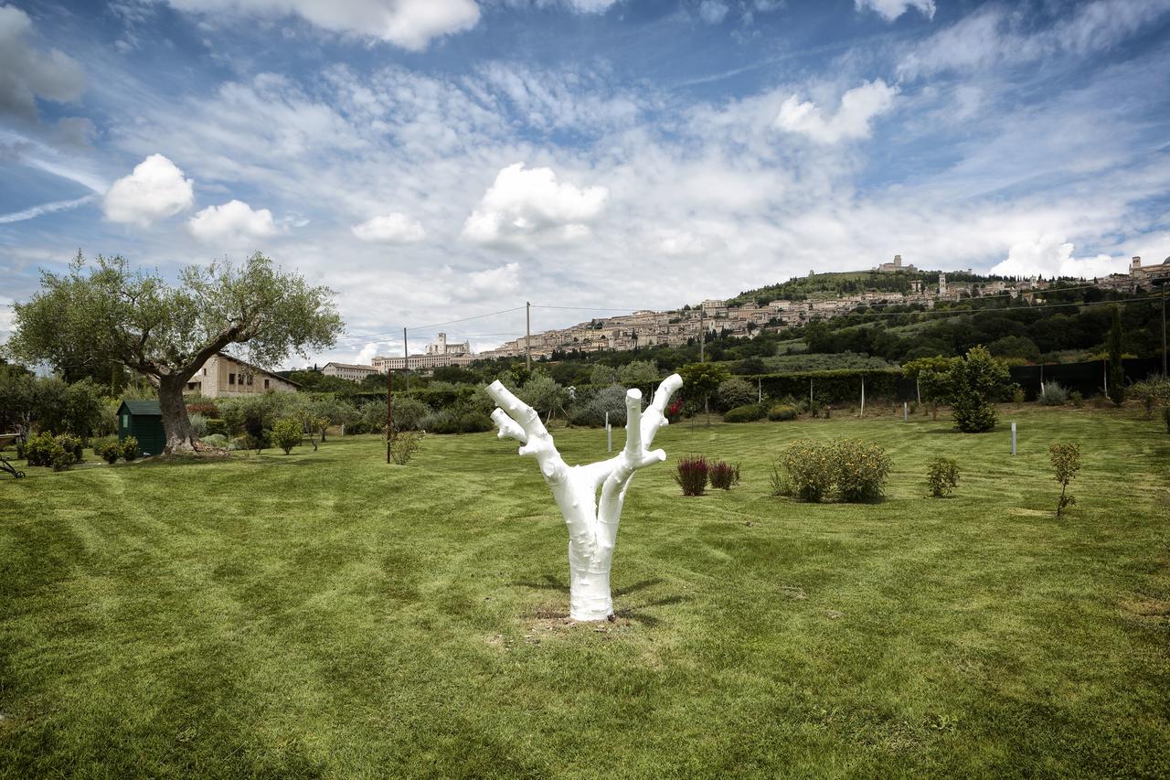 Tenuta San Masseo - Boutique Farm Resort & Spa アッシジ エクステリア 写真